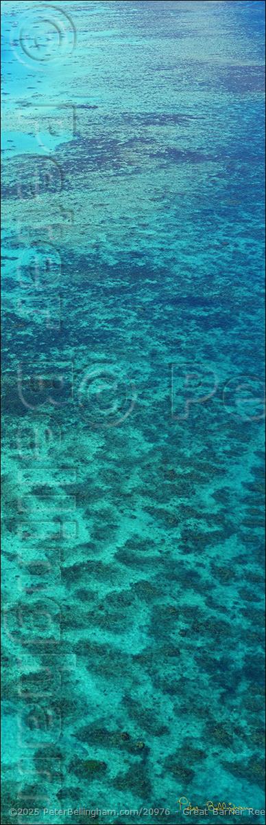 Peter Bellingham Photography Great Barrier Reef - QLD V (PBH4 00 14828)